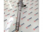 Bico Injetor D1LMK138/M3