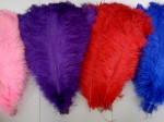 Ventas de plumas de avestruz y disfraces para garotas y garotos
