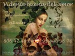 vidente buena amor